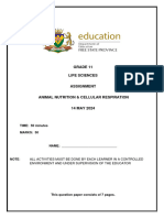 LFSC GR 11 Assignment 14 MAY 2024 ENG Final