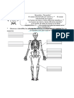 Ficha de Sistema Óseo para Primaria