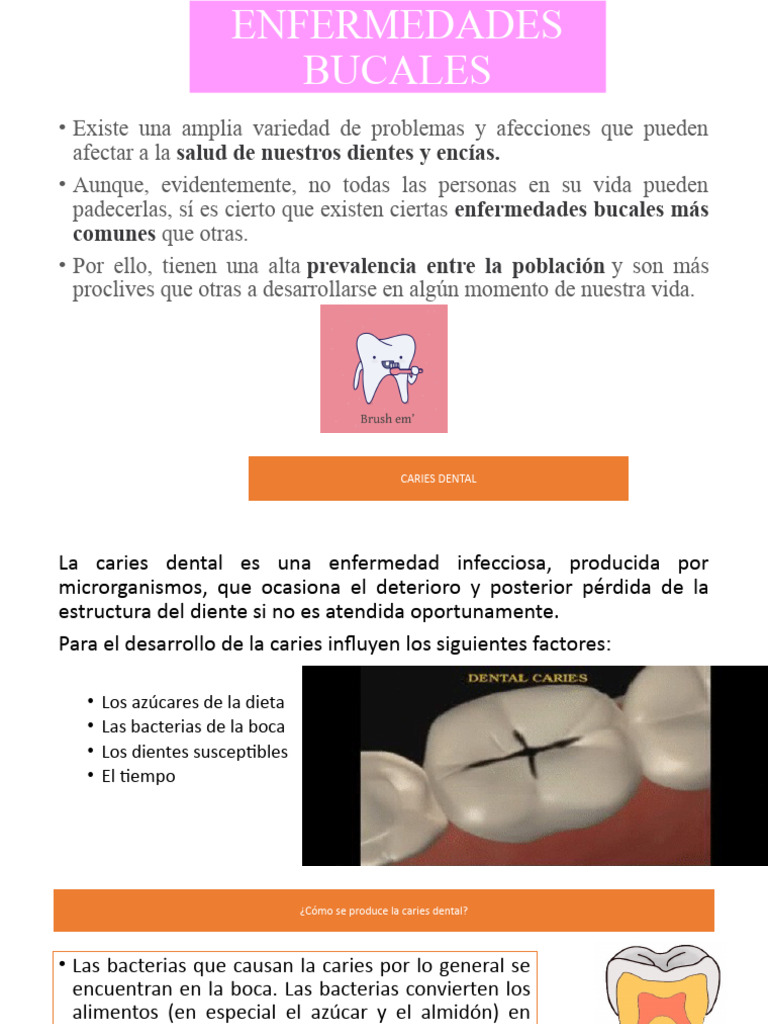 2 Salud Bucal Pdf Cáncer Boca