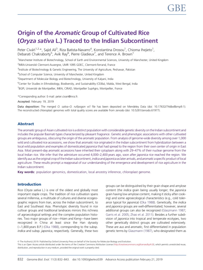 Origin of Aromatic Rice in India | PDF | Single Nucleotide Polymorphism ...