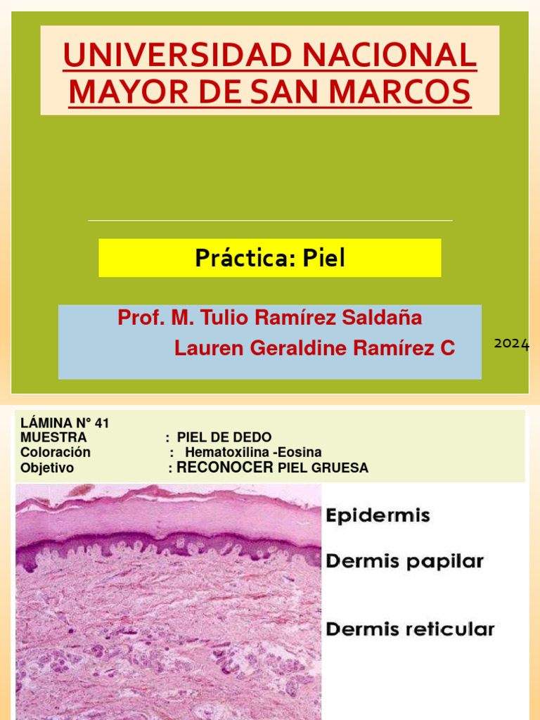 Reconocimiento de Piel y Uñas en Práctica | PDF
