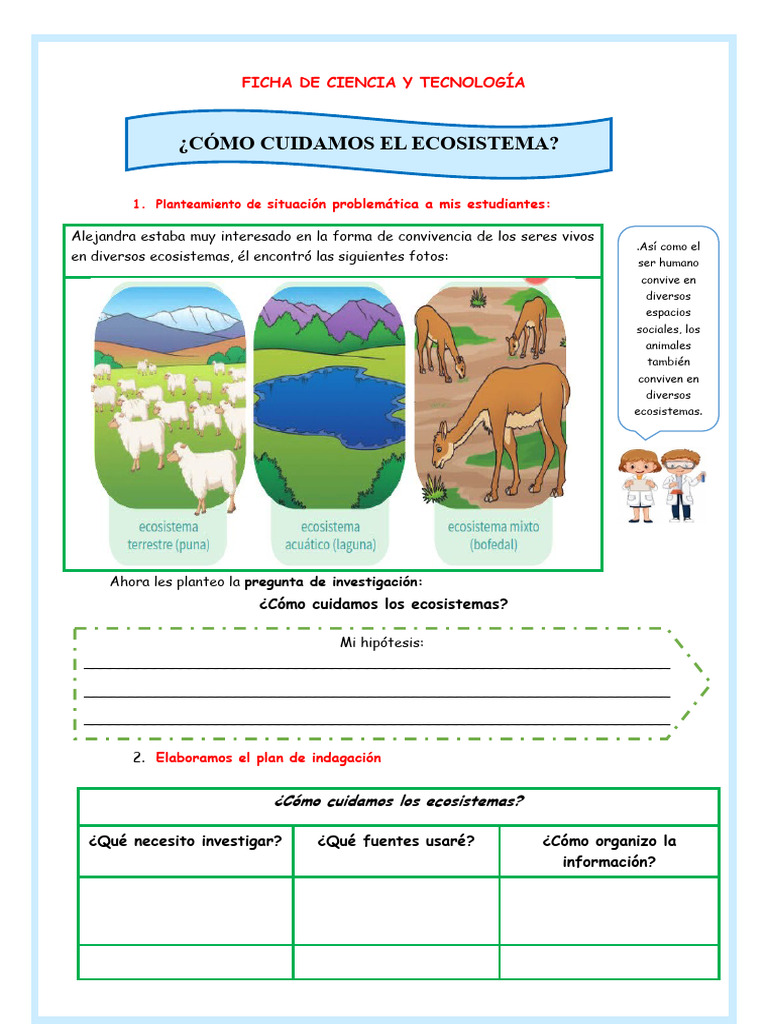 Cuidando los Ecosistemas en Clase | PDF | Ecosistema | Science