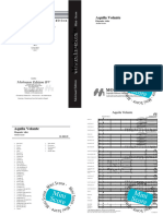 Aquila Volante PDF Score - Michael Geisler