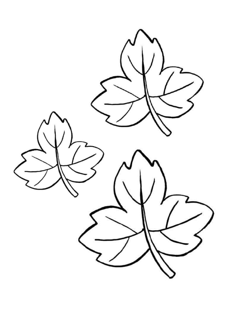 Hoja de Calabaza PDF