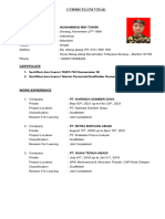 Curriculum Vitae