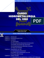 Hidrometalurgia Del Oro (Dr. Patricio Navarro)