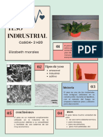 Material Ciencias de Los Materiales