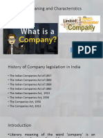 Company - Meaning and Characteristics - PDF