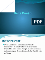 2 Delta Dunarii