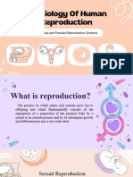 Female and Male Reproductive System