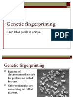 Genetic Fingerprinting: Each DNA Profile Is Unique!