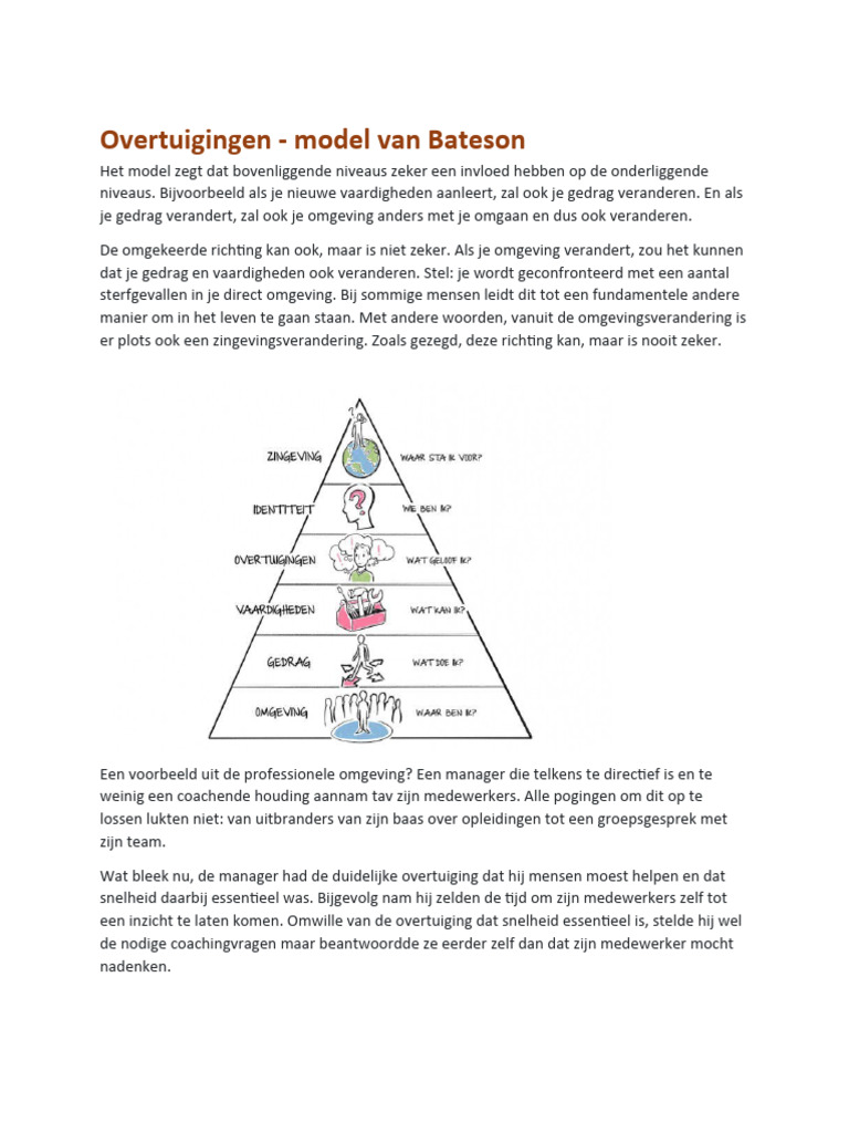 Basics-Overtuigingen - Model Van Bateson | PDF