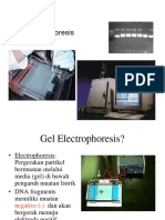 Gel_Electrophoreis dan RFLP (1)