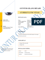 Guntur GG Curriculum Vitae