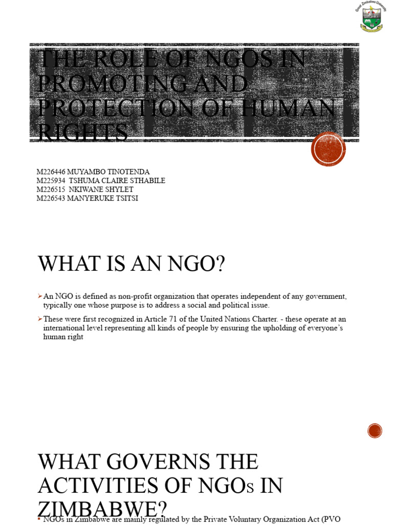 NGOs and Human Rights Advocacy | PDF | Non Governmental Organization ...