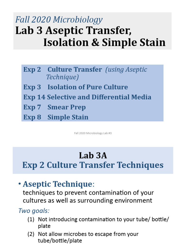 Lab 3A Culture Transfer | PDF | Laboratory Techniques | Medical Specialties