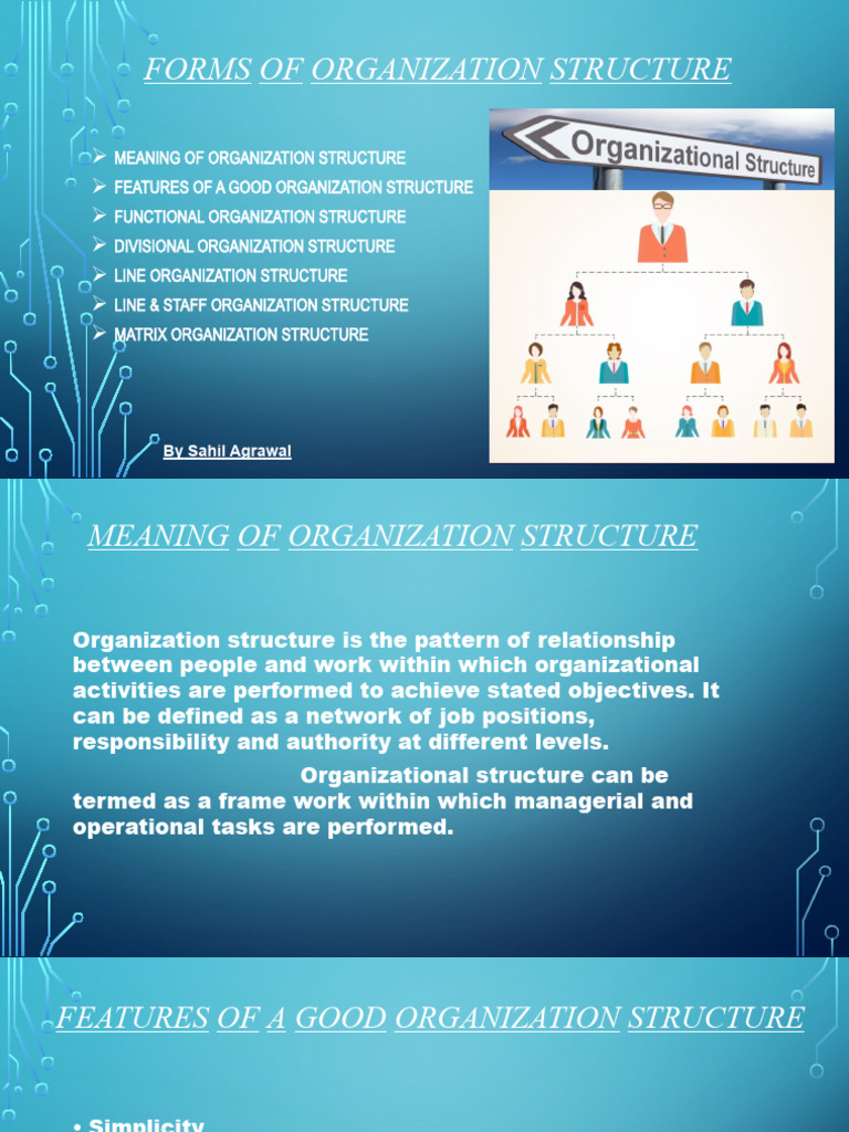 Forms of Organization Structure-2 | PDF | Organizational Structure