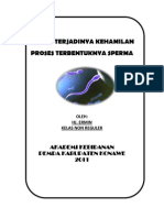 Proses Terjadinya Kehamilan