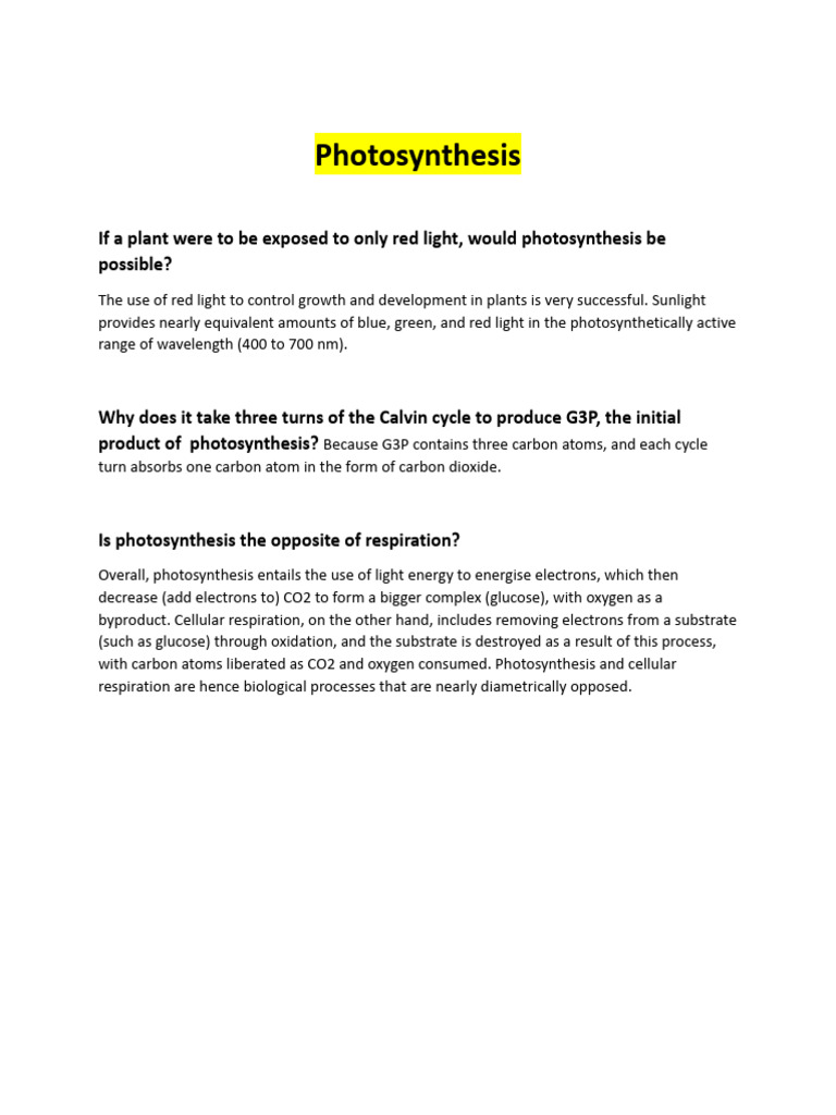 Understanding Photosynthesis Basics | PDF