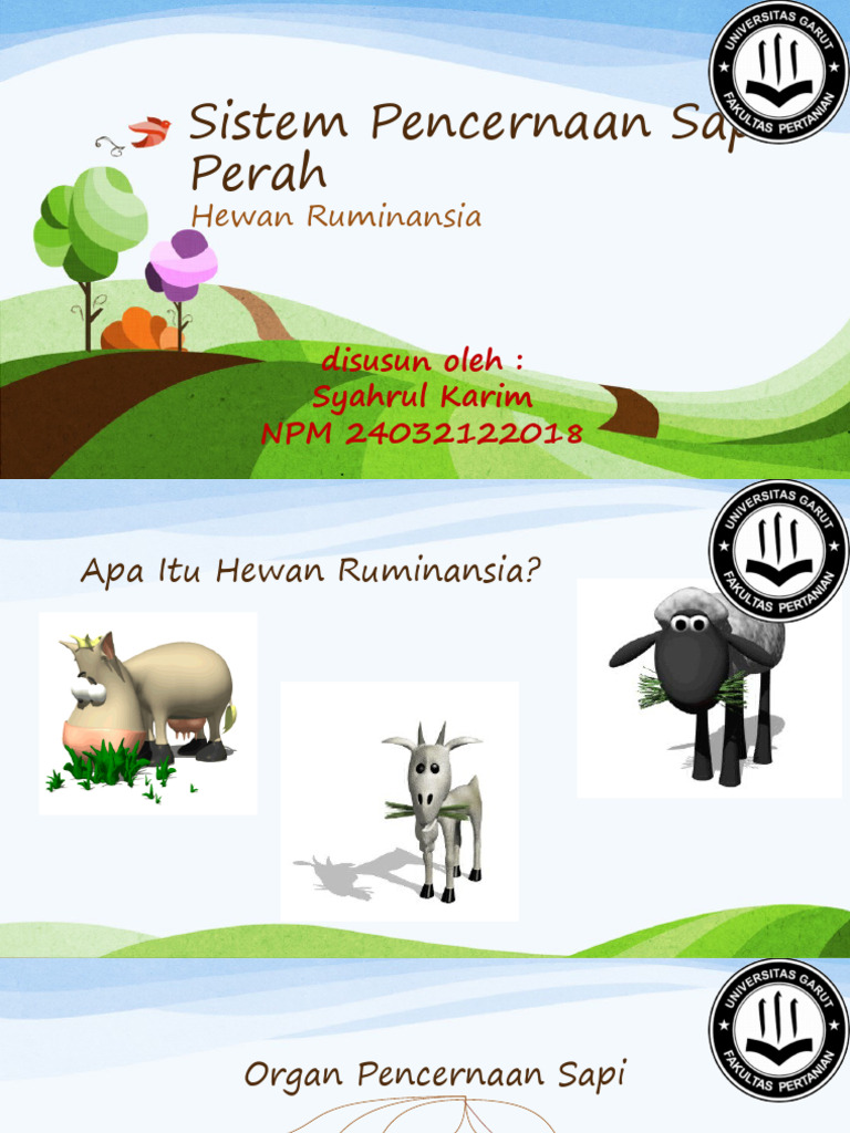 Sistem Pencernaan Sapi Ruminansia | PDF