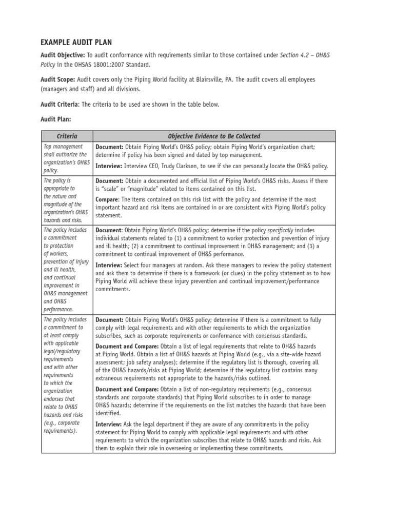 Audit Plan | PDF | Occupational Safety And Health | Policy