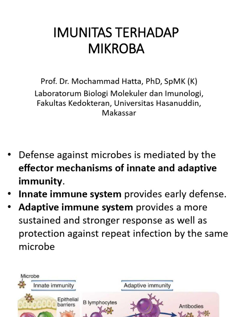 Immunity Mechanisms Against Microbes | PDF
