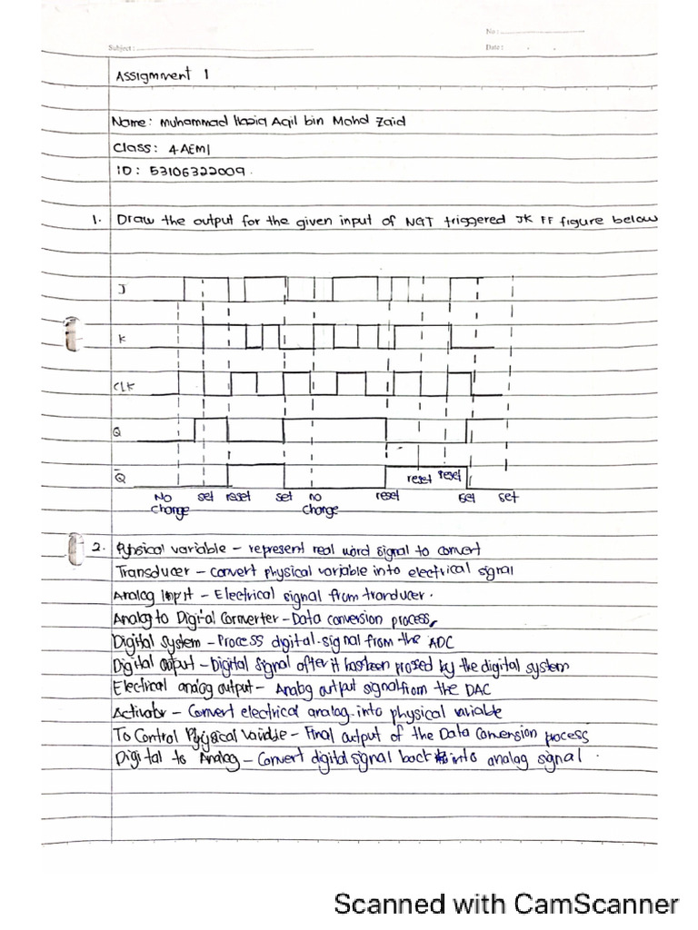 DT Assignment | PDF