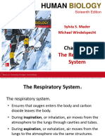 6-Respiratory System