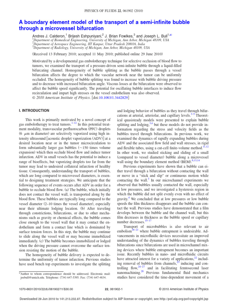 Fluid Dynamics Of A Bifurcation