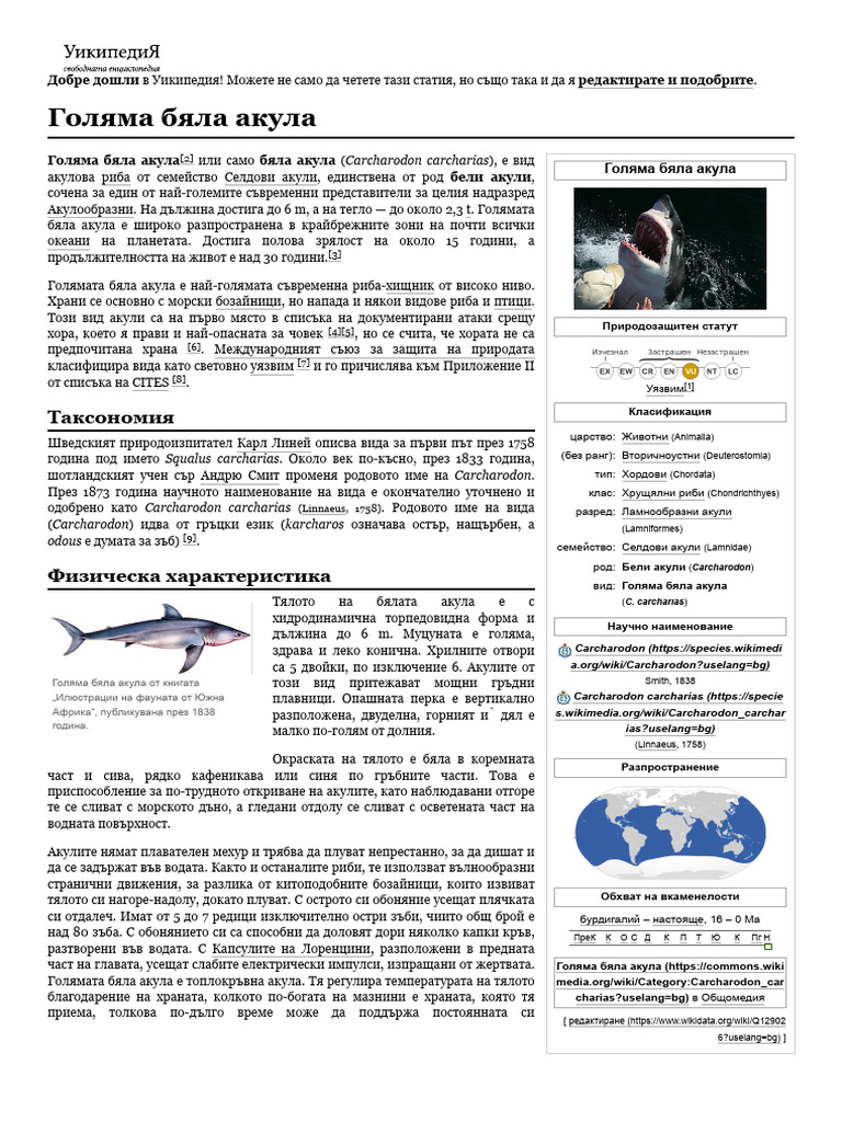 Голяма бяла акула | PDF