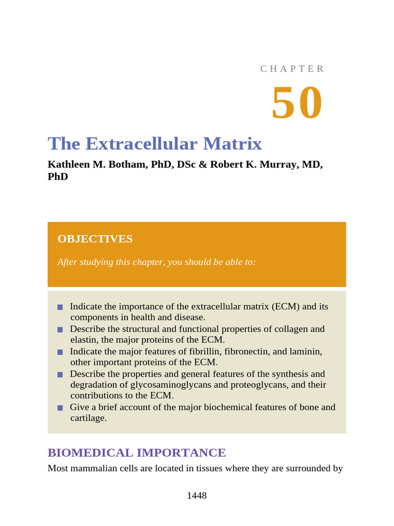 Extracellular Matrix and Collagen Insights | PDF | Extracellular Matrix ...