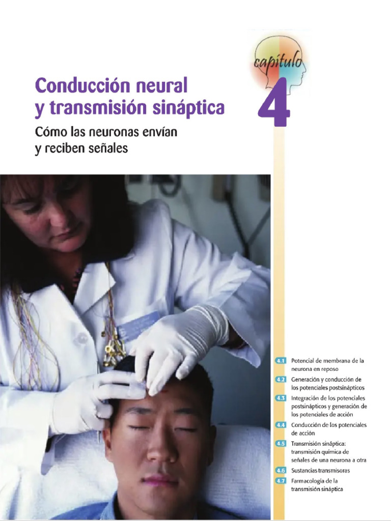 Conducción Neural y Transmisión Sináptica Cap4 | PDF
