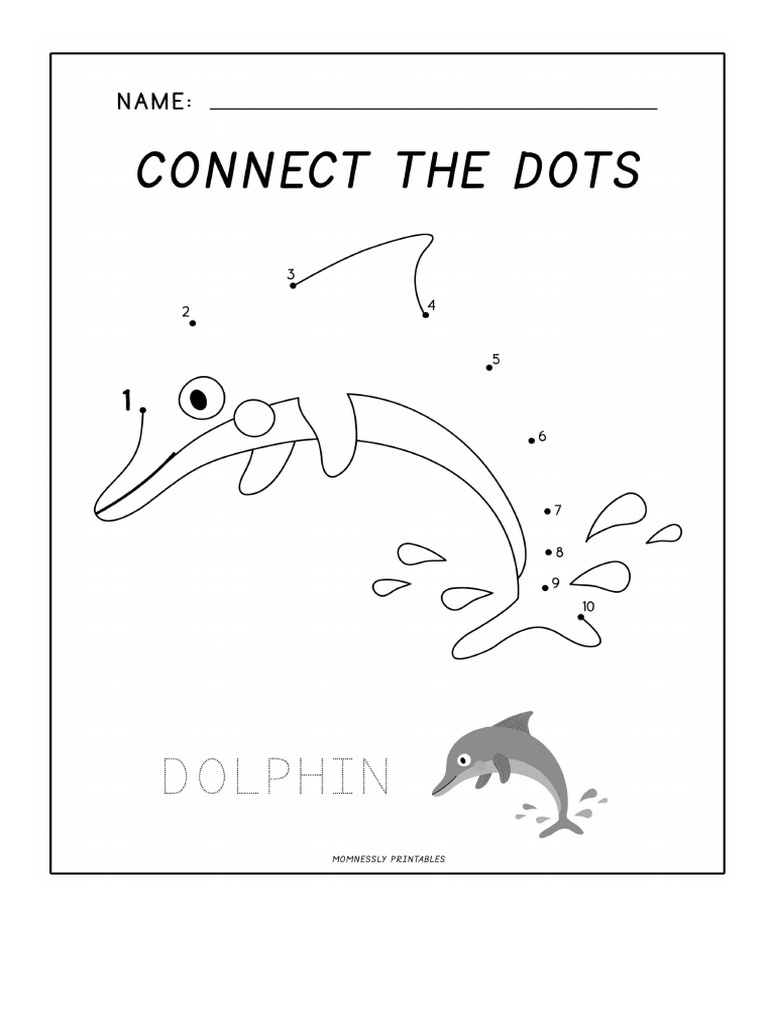 Dolphin visual data 3