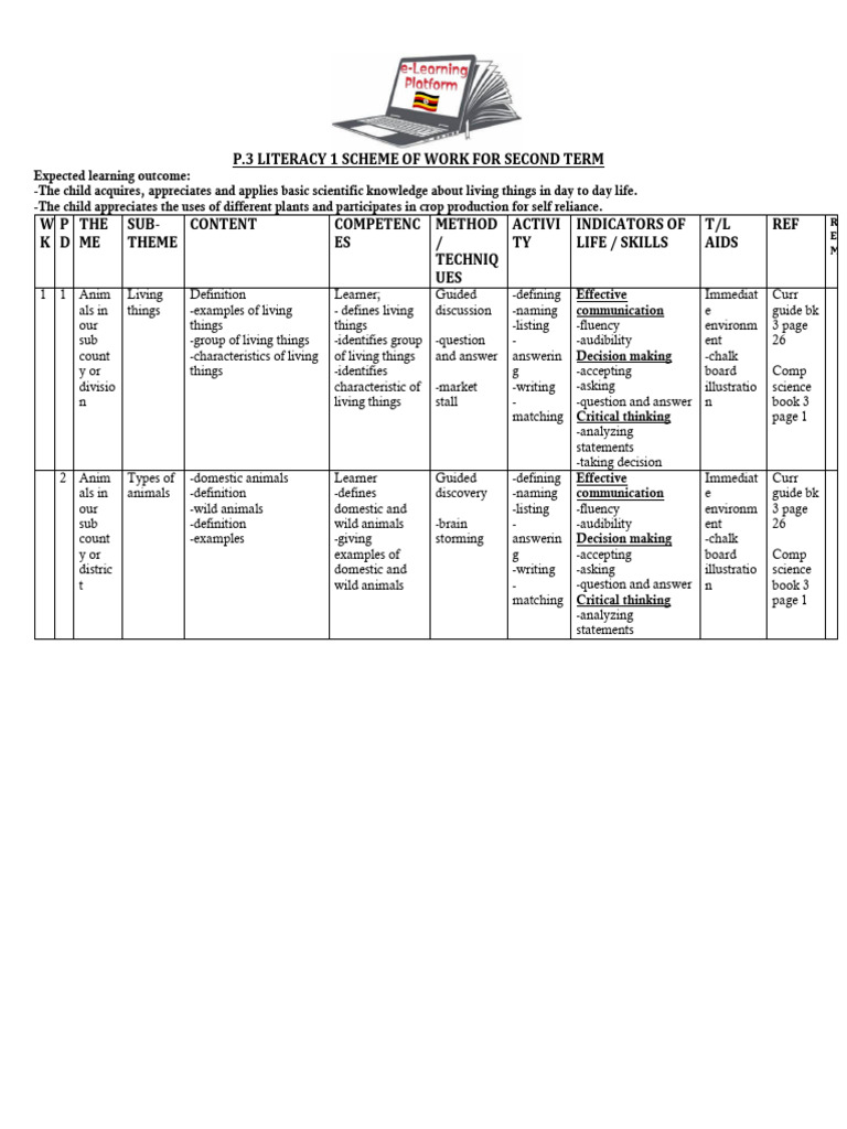 Second Term Literacy Scheme Overview | PDF | Insects | Flowers
