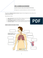 TOPIC 9 Human Gas Exchange 2023