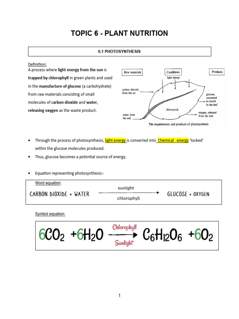 TOPIC 6 Plant nutrition simpler notes | Download Free PDF | Leaf ...