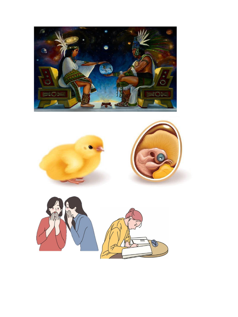 Pollito | PDF