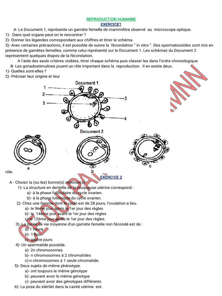 Exercices sur la reproduction humaine | PDF | Cycle menstruel ...