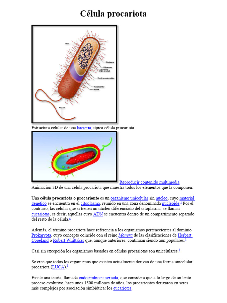 Célula procariota | PDF | Procariota | Las bacterias