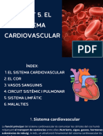 Unitat 5. Sistema Cardiovascular
