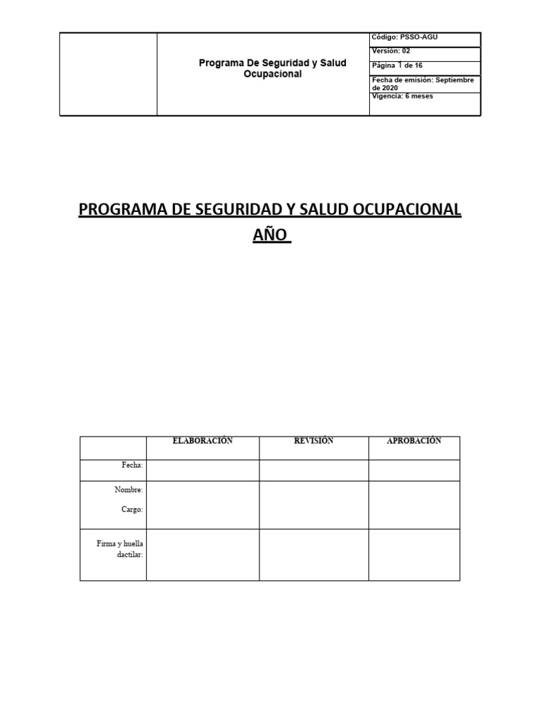 Mi Programa 2021 PDF Seguridad y salud ocupacional La seguridad Mi Programa 2021 PDF Seguridad y salud ocupacional La seguridad