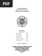 Download Laporan Praktikum Industri Unggas Direvisi by Antonius Apriliano Lusuba SN73736858 doc pdf