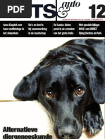 Download ArtsAuto December 2011 by Liquor  Wine - taste is a self portrait SN73736937 doc pdf