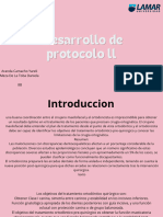 Desarrollo Del Protocolo