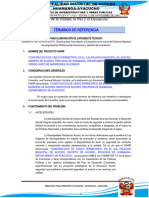 TDR Ioarr para Formular Expediente Tecnico Del Cerco Perimetrico Palacio