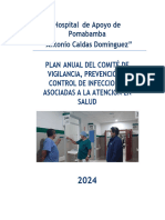 Plan Comite Iaas - 2024