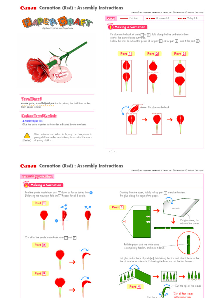 O-Carnation I e A4 | PDF