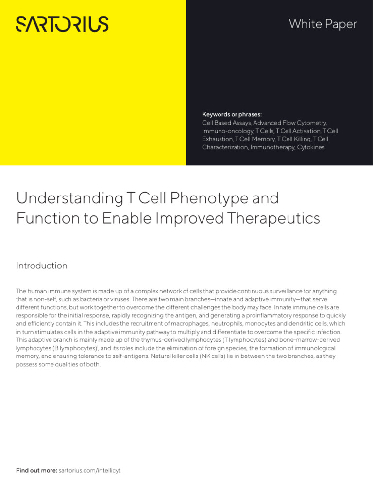 T Cell Modulation in Immunotherapy | PDF | T Helper Cell | T Cell