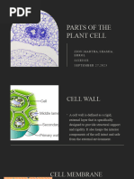 Cell Rap Lyrics Pdf Cell Biology Cytoplasm