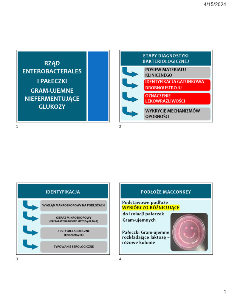 Gram Minus Cwiczenia | PDF